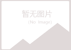 鹤岗东山从安机械有限公司